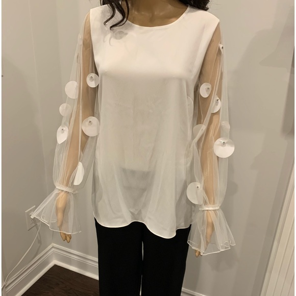 Beautiful new top see-through sleeves and detailed - Picture 1 of 4